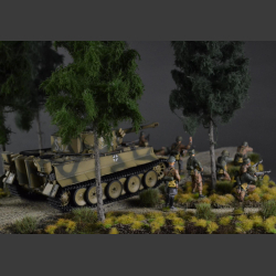 Gravelroad and paths through coniferous forest - diorama