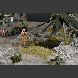 Desert house and oasis - diorama