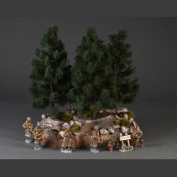 Cliff with fir trees