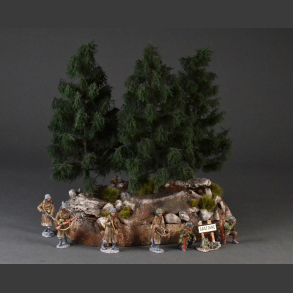 Cliff with fir trees