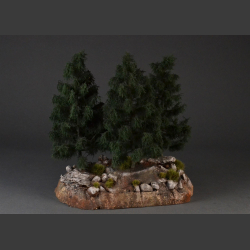 Cliff with fir trees