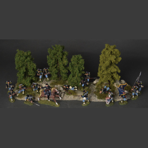 Forest edge