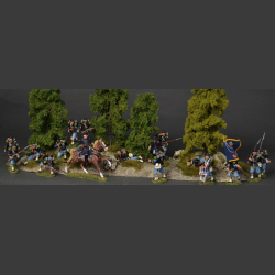 Forest edge