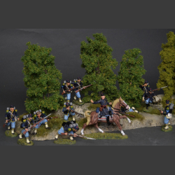 Forest edge