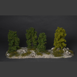Forest edge
