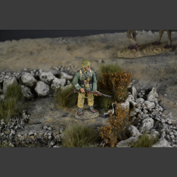 Desert - diorama 