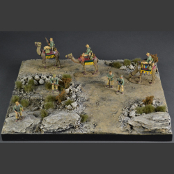 Desert - diorama 