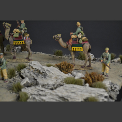 Desert - diorama 