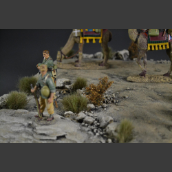 Desert - diorama 