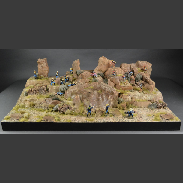 Sonoran Desert - Diorama