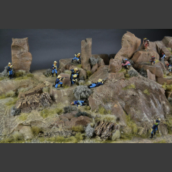 Sonoran Desert - Diorama