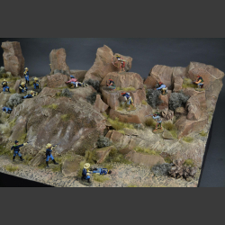 Sonoran Desert - Diorama