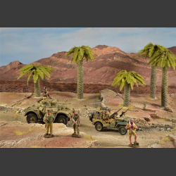 Desert - diorama  