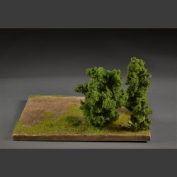 Terrain with trees - diorama 