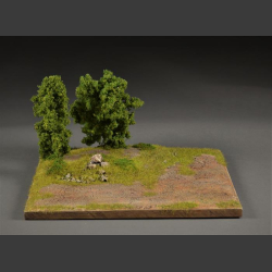 Terrain with trees - diorama 