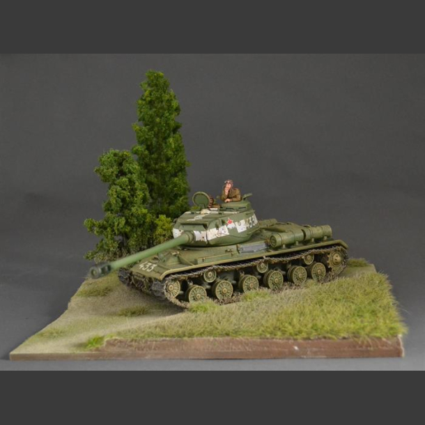 Terrain with trees - diorama 