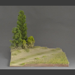 Terrain with trees - diorama 