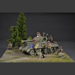 Terrain with trees - diorama 