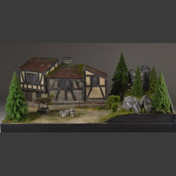 Medieval Village - diorama 