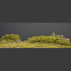 Bocage Normandy - Diorama