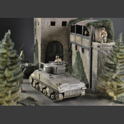 Village Wall and Tower - Diorama
