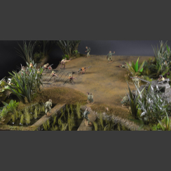 Jungle river and bridge - Diorama 