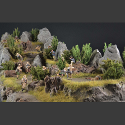 South African "Natal" rock landscape