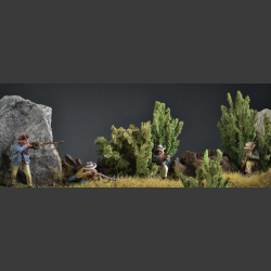 South African "Natal" rock landscape