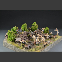 South African "Natal" rock landscape