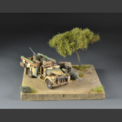 Desert - Mini-diorama