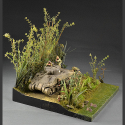 Jungle and Swamp - Diorama