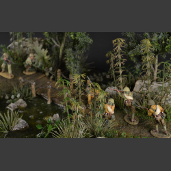 Jungle and Swamp - Diorama