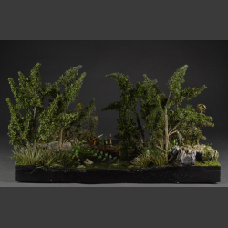 Jungle and Swamp - Diorama