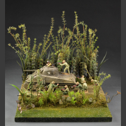 Jungle and Swamp - Diorama