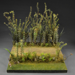 Jungle and Swamp - Diorama