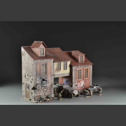 Polish house building