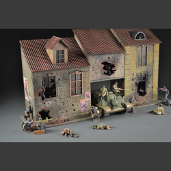 Polish house building