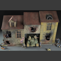 Polish house building