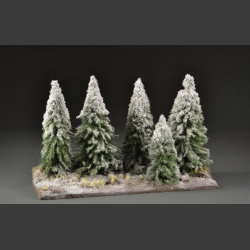 Forest edges in winter version.