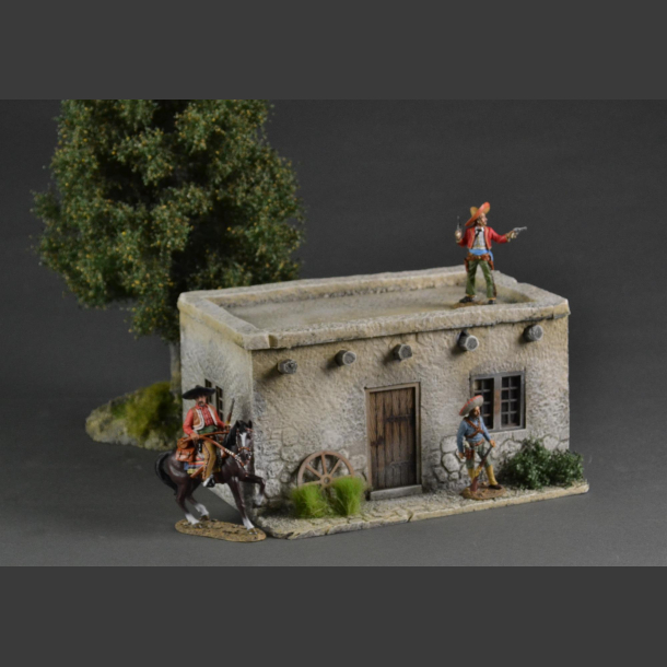Mexican/Texas House