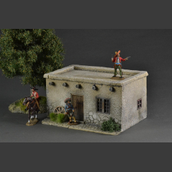 Mexican/Texas House