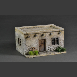 Mexican/Texas House