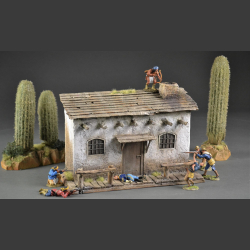 Mexican / Texan house