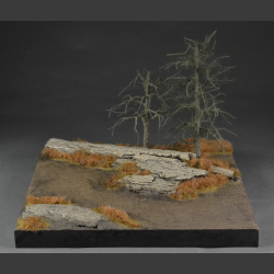 Rocky terrain in late winter / early spring version - diorama