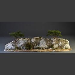 Old stone wall with majestic Pinja trees