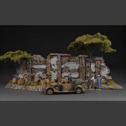 Old North African stone wall with beautiful acacia trees