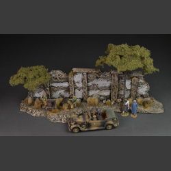Old North African stone wall with beautiful acacia trees