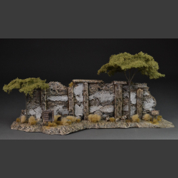 Old North African stone wall with beautiful acacia trees