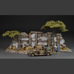 Old North African stone wall with beautiful acacia trees