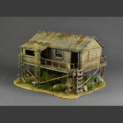 Jungle hut